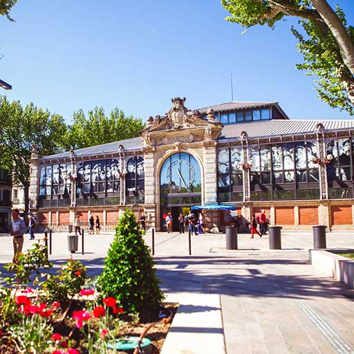 mini-photo-halle-narbonne-vivre-en-paix-alarme-securite